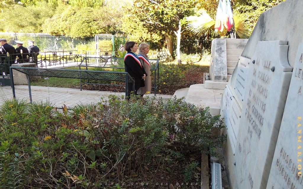 2025 12 05 TOULON HOMMAGE AUX MORTS POUR LA FRANCE EN AFN (75).jpg